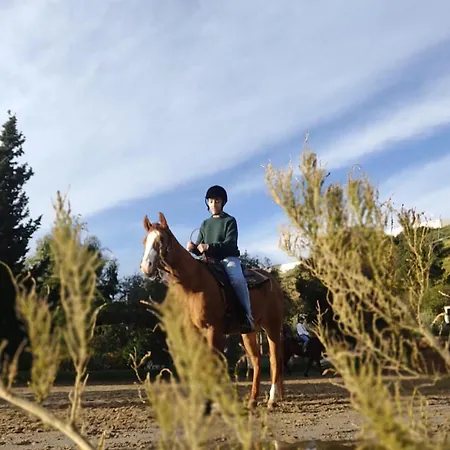 Bed & Breakfast Exclusive Bb Rosa 3*